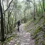 Apartament La Raccolta Scheggino
