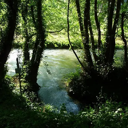 La Raccolta Scheggino