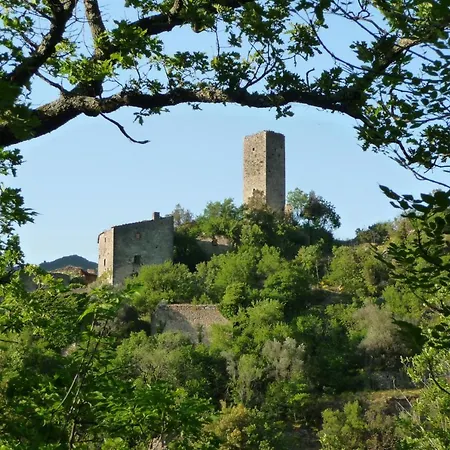La Raccolta Apartment Scheggino