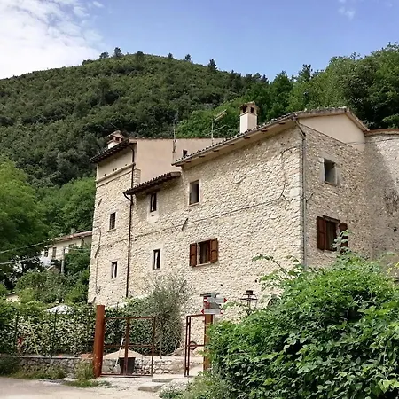 La Raccolta Scheggino